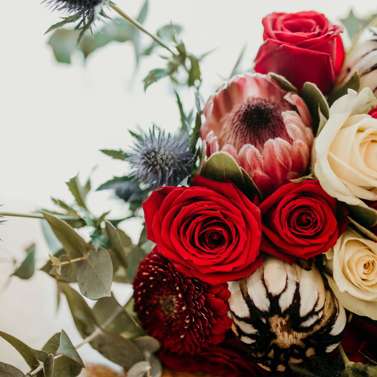 THOUGHTS & THINGS TO SHARE ON THE INTERNET